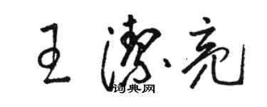 駱恆光王潔亮草書個性簽名怎么寫