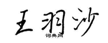 王正良王羽沙行書個性簽名怎么寫