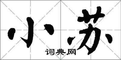 翁闓運小蘇楷書怎么寫