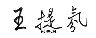 駱恆光王提氛行書個性簽名怎么寫