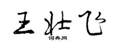 曾慶福王壯飛行書個性簽名怎么寫