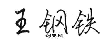 駱恆光王鋼鐵行書個性簽名怎么寫
