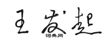 駱恆光王發起草書個性簽名怎么寫