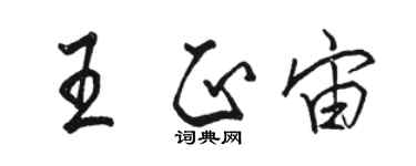 駱恆光王正宙行書個性簽名怎么寫