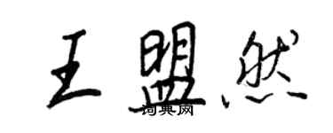 王正良王盟然行書個性簽名怎么寫