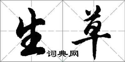 胡問遂生草行書怎么寫