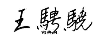 王正良王騁驍行書個性簽名怎么寫