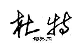 朱錫榮杜特草書個性簽名怎么寫