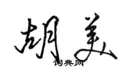 駱恆光胡美行書個性簽名怎么寫