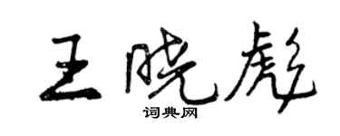 曾慶福王曉彪行書個性簽名怎么寫