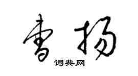 梁錦英曹揚草書個性簽名怎么寫