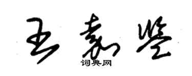 朱錫榮王嘉鑒草書個性簽名怎么寫