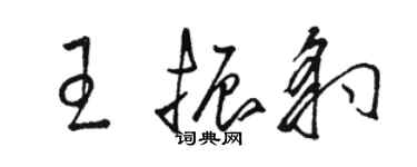 駱恆光王振豹草書個性簽名怎么寫