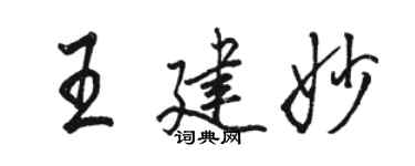 駱恆光王建妙行書個性簽名怎么寫