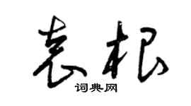 曾慶福袁根草書個性簽名怎么寫