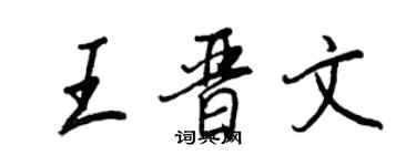 王正良王晉文行書個性簽名怎么寫