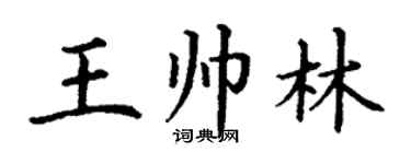 丁謙王帥林楷書個性簽名怎么寫