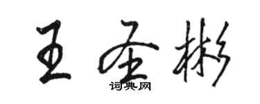 駱恆光王聖彬行書個性簽名怎么寫