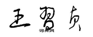 曾慶福王習貞草書個性簽名怎么寫