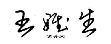 朱錫榮王雅生草書個性簽名怎么寫