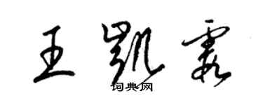 梁錦英王凱霞草書個性簽名怎么寫