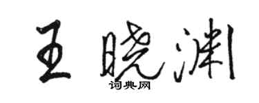 駱恆光王曉淵行書個性簽名怎么寫