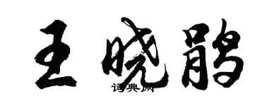 胡問遂王曉鵑行書個性簽名怎么寫