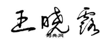 曾慶福王曉露草書個性簽名怎么寫