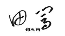 駱恆光田闖草書個性簽名怎么寫