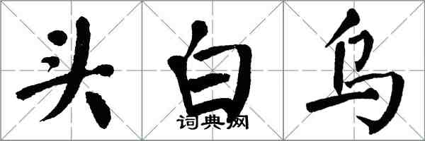 翁闓運頭白烏楷書怎么寫