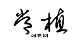 朱錫榮常植草書個性簽名怎么寫