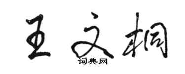 駱恆光王文桐行書個性簽名怎么寫