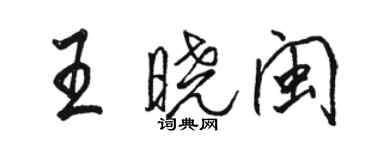 駱恆光王曉閩行書個性簽名怎么寫