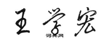 駱恆光王學宏行書個性簽名怎么寫