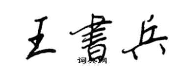 王正良王書兵行書個性簽名怎么寫