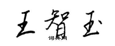 王正良王智玉行書個性簽名怎么寫