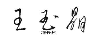 駱恆光王玉晶草書個性簽名怎么寫