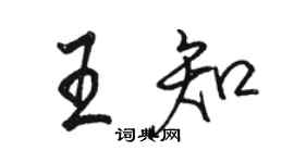 駱恆光王知行書個性簽名怎么寫