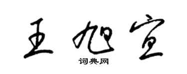 梁錦英王旭宜草書個性簽名怎么寫