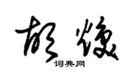 朱錫榮胡煥草書個性簽名怎么寫