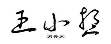 曾慶福王小想草書個性簽名怎么寫