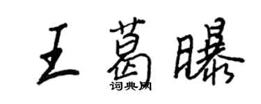 王正良王葛曝行書個性簽名怎么寫