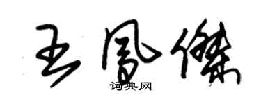 朱錫榮王鳳傑草書個性簽名怎么寫