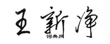 駱恆光王新淨行書個性簽名怎么寫