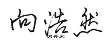 駱恆光向浩然行書個性簽名怎么寫