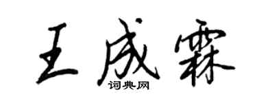 王正良王成霖行書個性簽名怎么寫