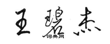 駱恆光王碧傑行書個性簽名怎么寫