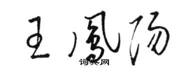駱恆光王鳳陽草書個性簽名怎么寫