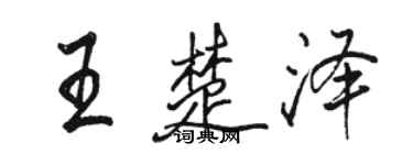 駱恆光王楚澤行書個性簽名怎么寫