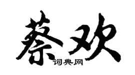 胡問遂蔡歡行書個性簽名怎么寫